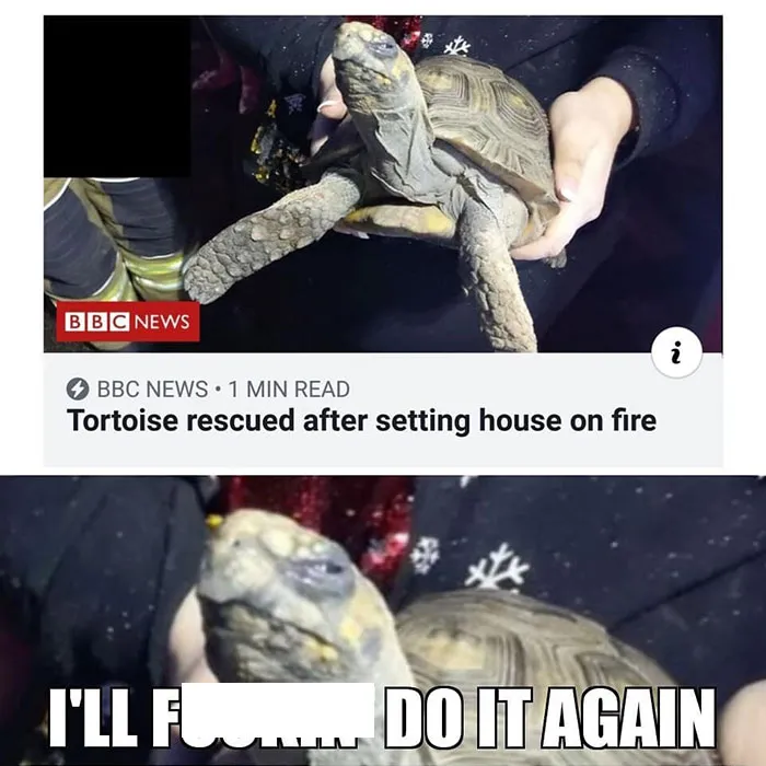 Caught in the Act