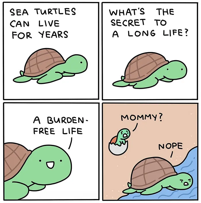 The Turtle Mom’s Secret