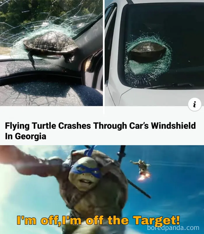 “My Way or the Highway”