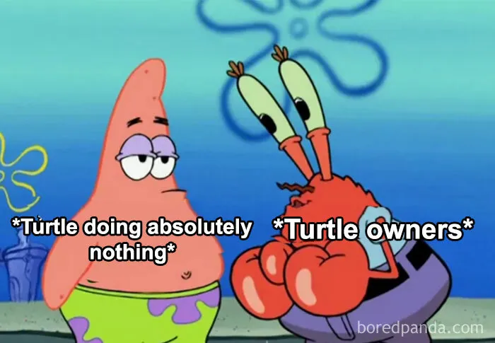 Masters of Doing Nothing