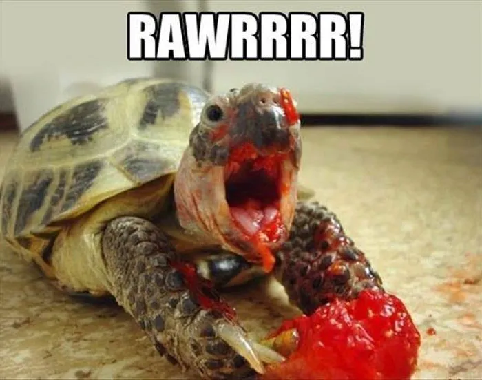 Hangry Level: Pro Max