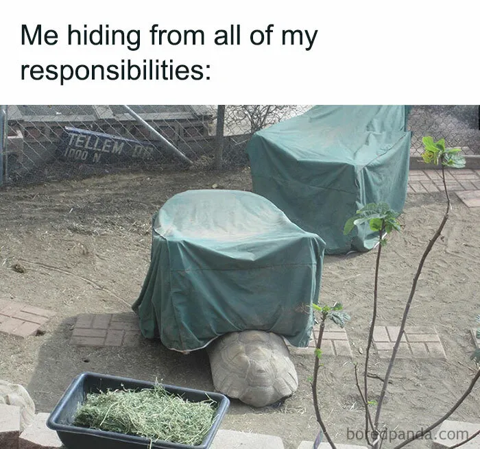 “When It's Your Turn to Do the Dishes”