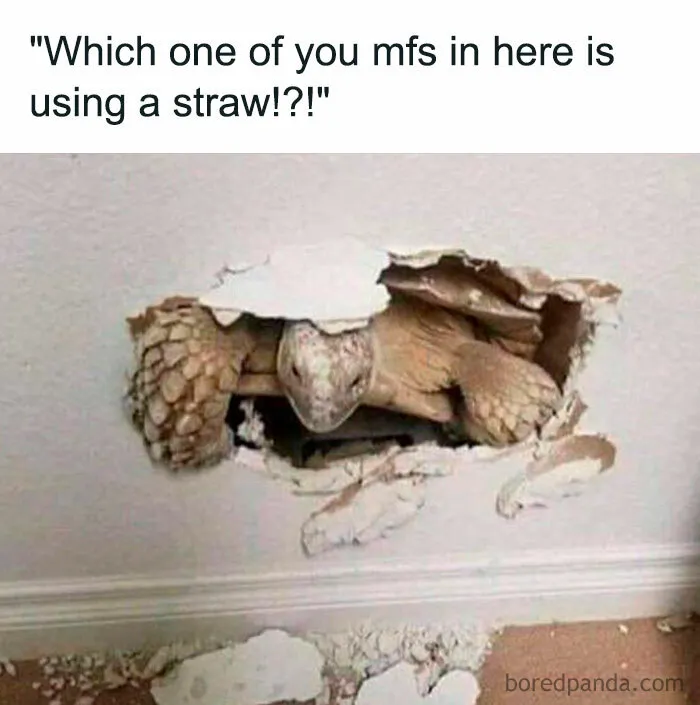 Actions Have Consequences