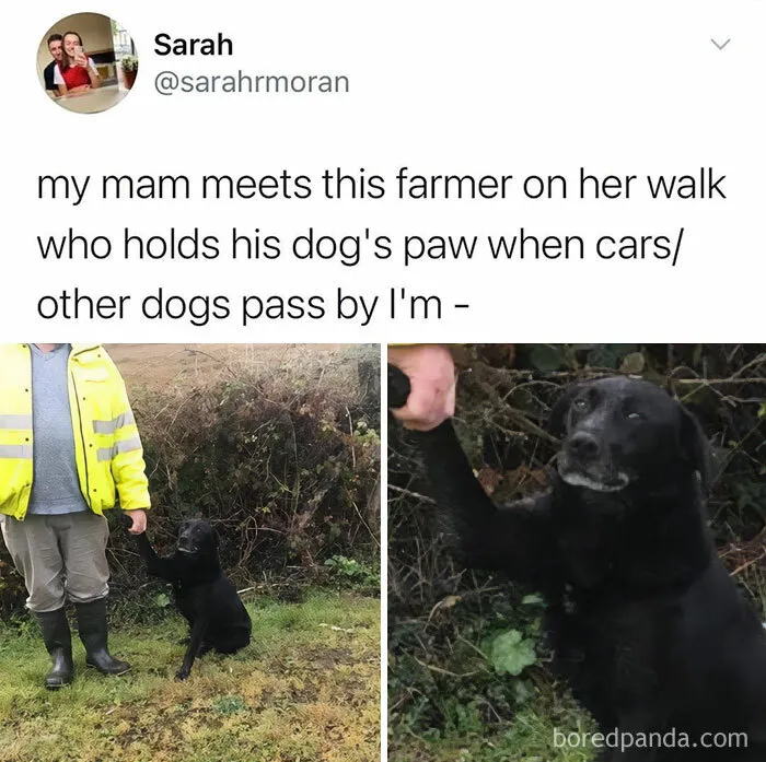 Brits Make The Internet A Better Place And Here Are 50 Of Their Posts, Shared On This IG Account