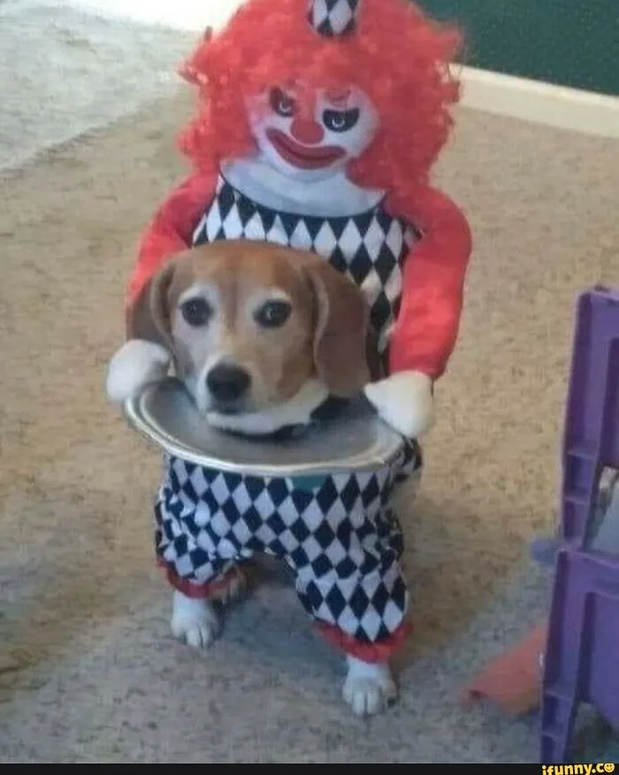 Proof That Dogs Are Better Sports Than Any Human When It Comes To Halloween Costumes