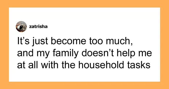 Hey Pandas, AITA For Expecting My Family To Help More When Our House Is In Chaos?