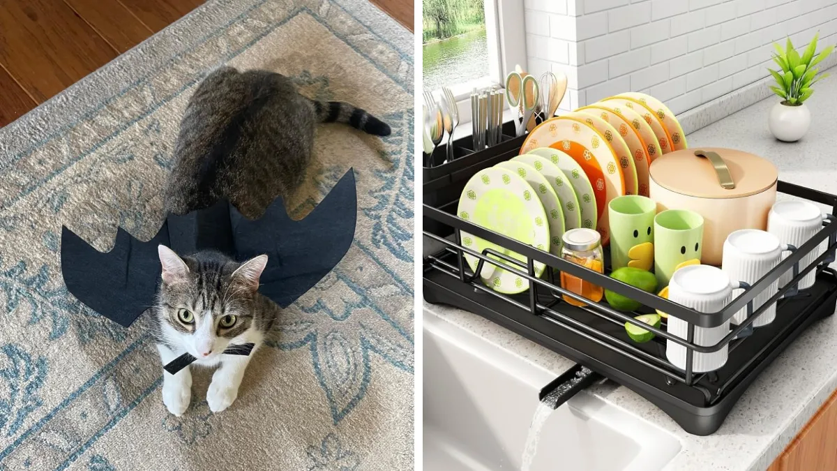 Amazon’s Movers And Shakers: 22 Items That Are Quickly Climbing The Ranks This Week