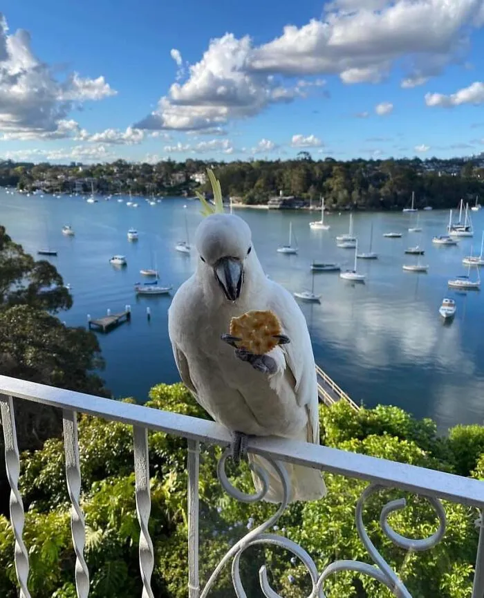 Sydney, Australia