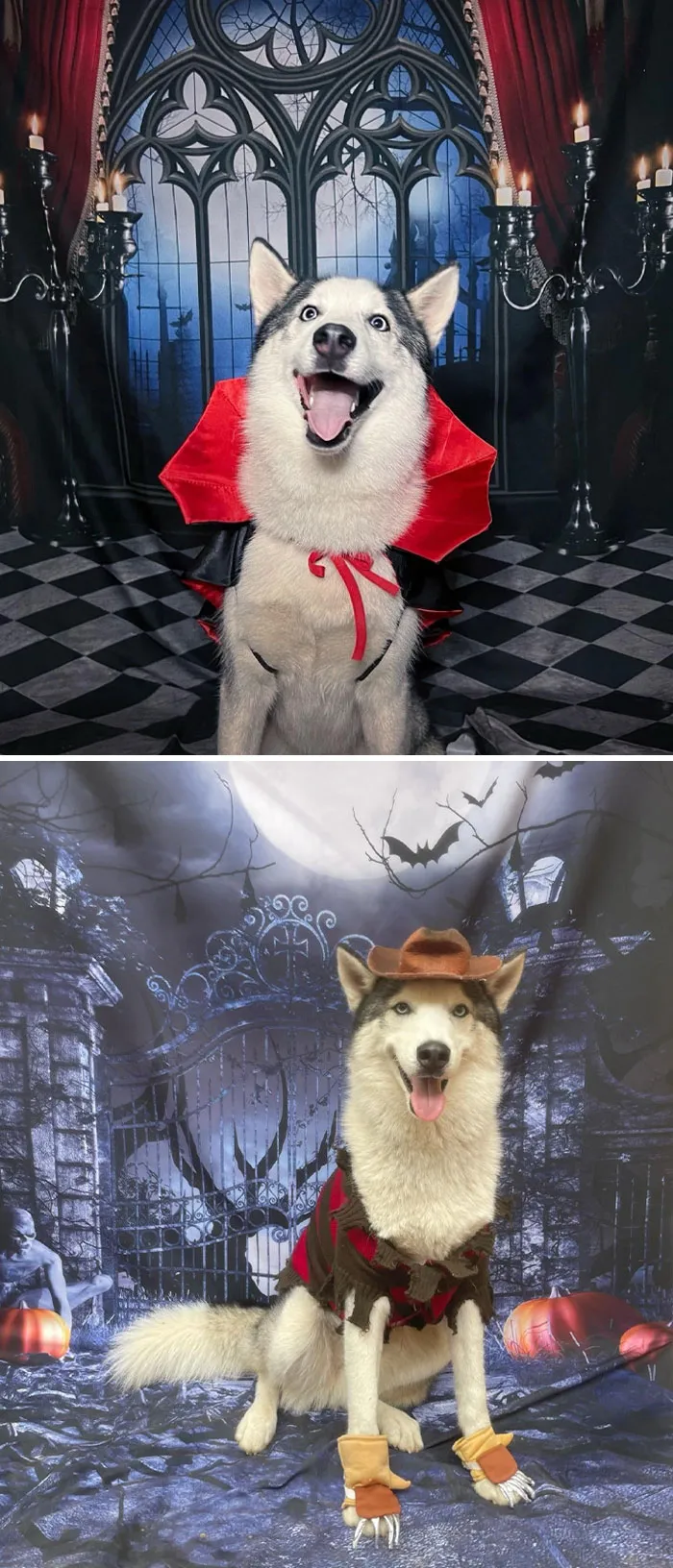 Charlie Is Having His Best Halloween Ever