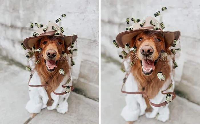 What’s All The Buzz About This Year's Halloween Costumes?