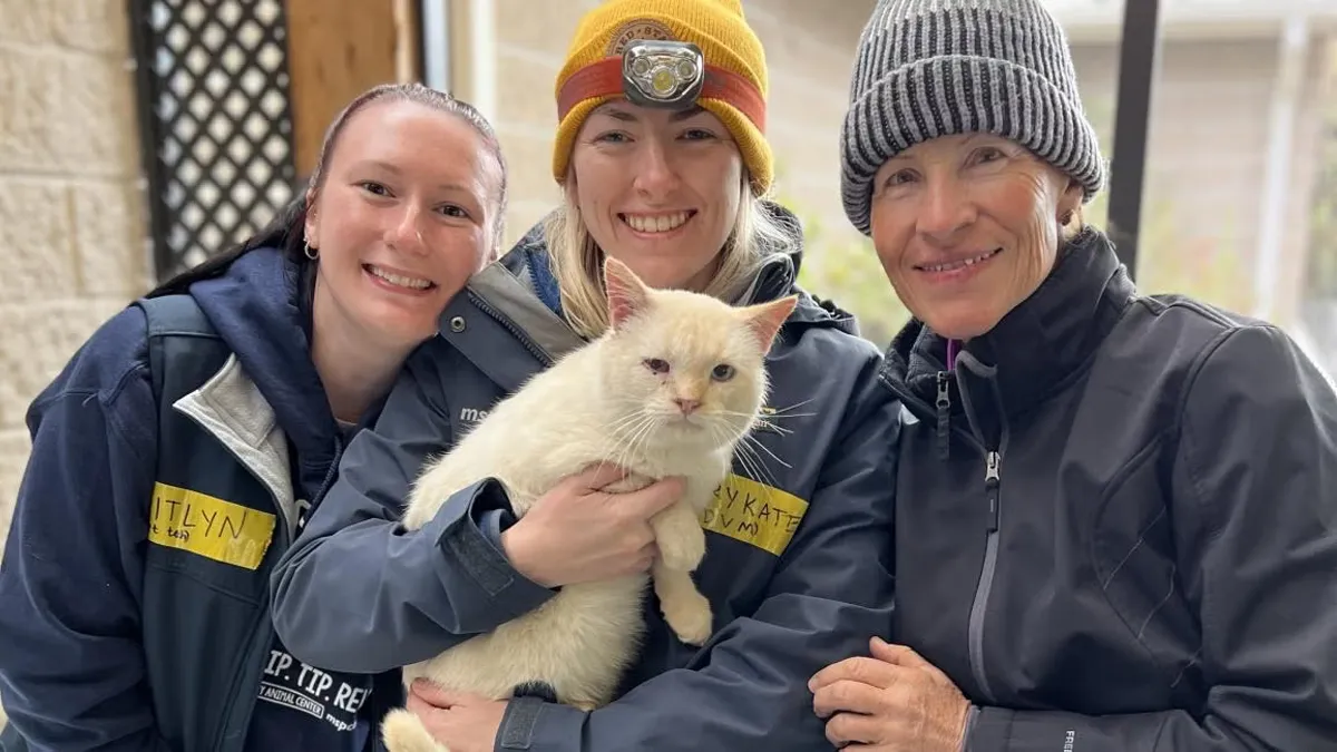 Cat Floats Away During Flood, Family Finds Him Chilling At Home When They Return A Week Later