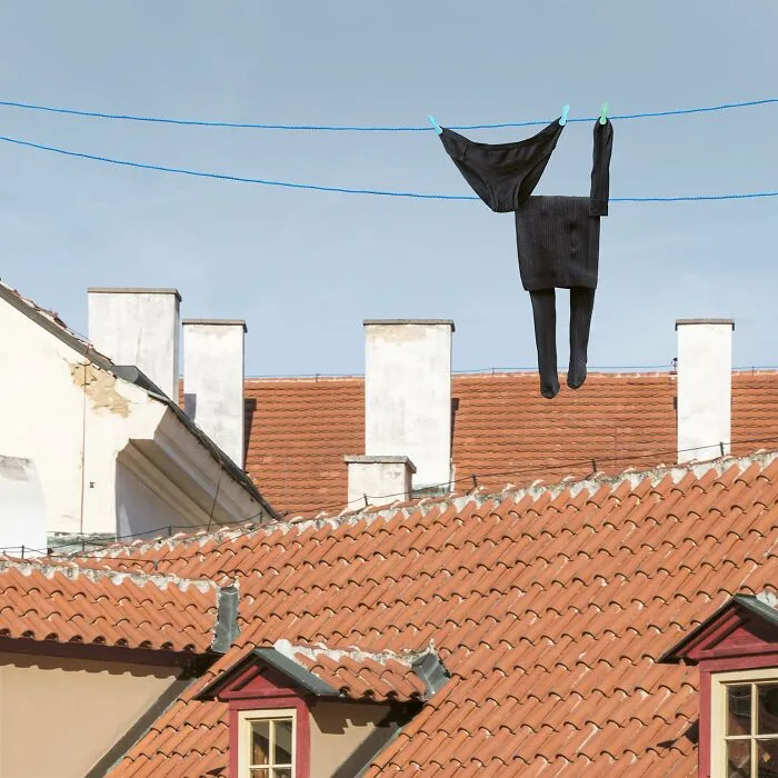 This Artist Created 21 Playful Animals From Laundry And Captured Them In Picturesque Landscapes