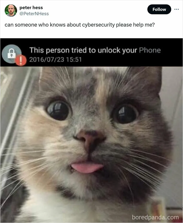 Caught In The Act: 50 Hilarious Posts That Show Cats Being The Jerks We Love (New Pics)