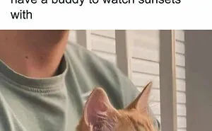 Caught In The Act: 50 Hilarious Posts That Show Cats Being The Jerks We Love (New Pics)