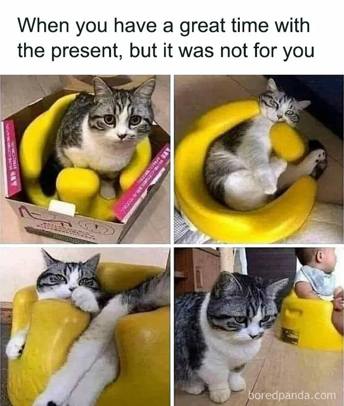 Caught In The Act: 50 Hilarious Posts That Show Cats Being The Jerks We Love (New Pics)