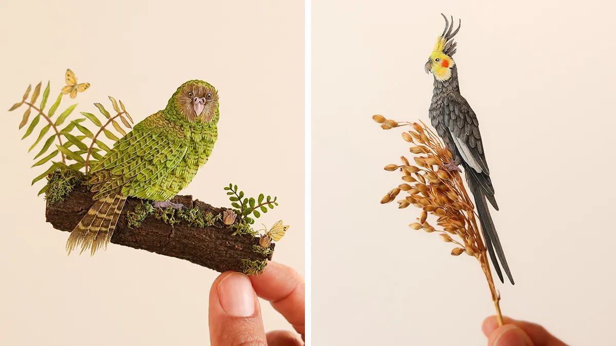 I Create Paper Art, And Here’s My Collection Of 40 Miniature Parrots