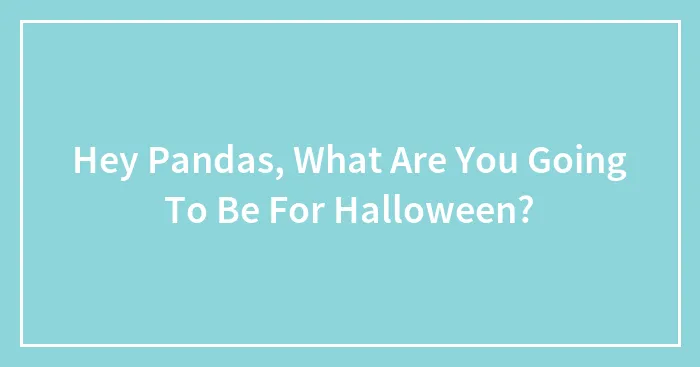 Hey Pandas, What Are You Going To Be For Halloween? (Closed)