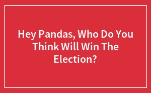 Hey Pandas, Who Do You Think Will Win The Election? (Closed)