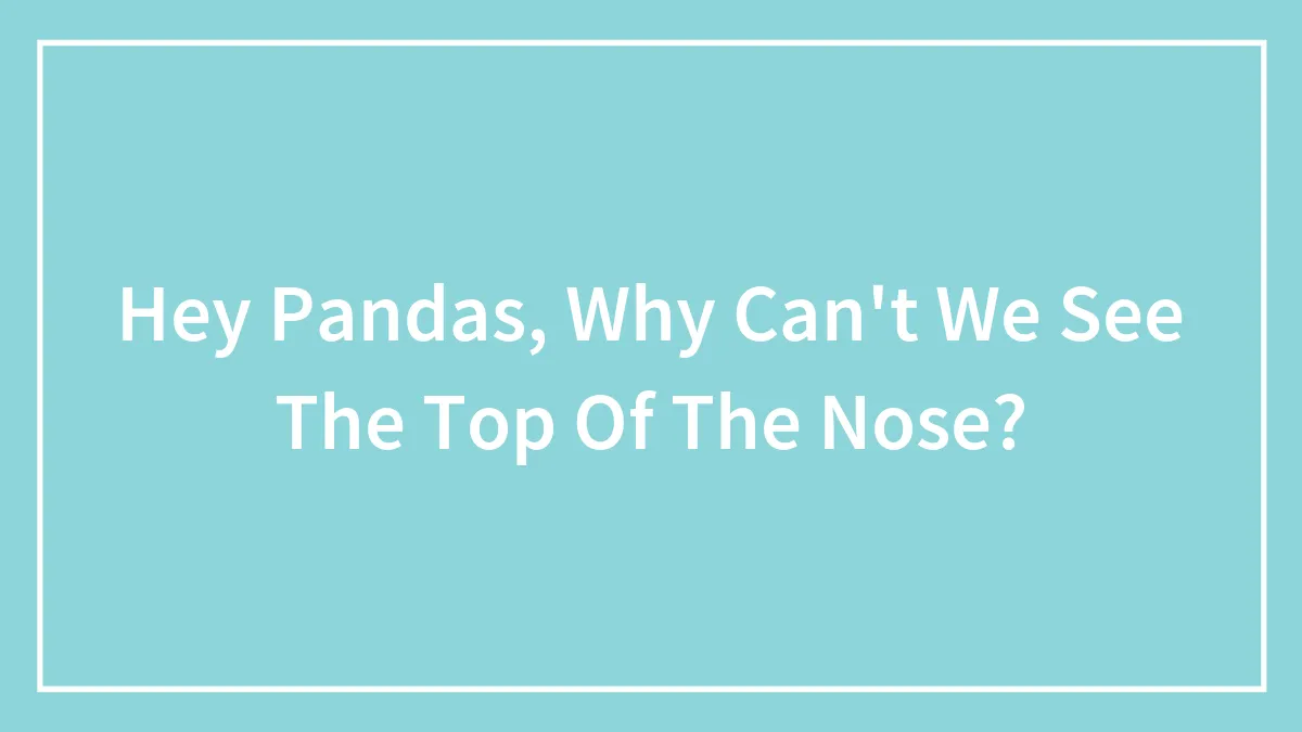 Hey Pandas, Why Can't We See The Top Of The Nose?