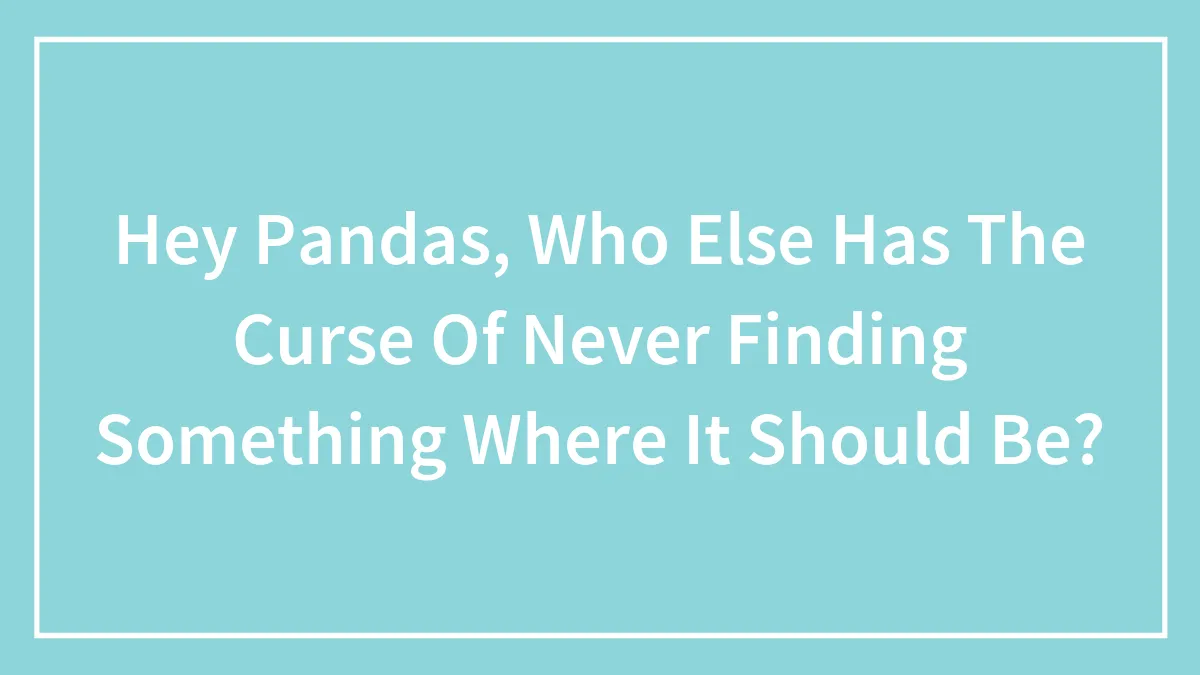 Hey Pandas, Who Else Has The Curse Of Never Finding Something Where It Should Be? (Closed)