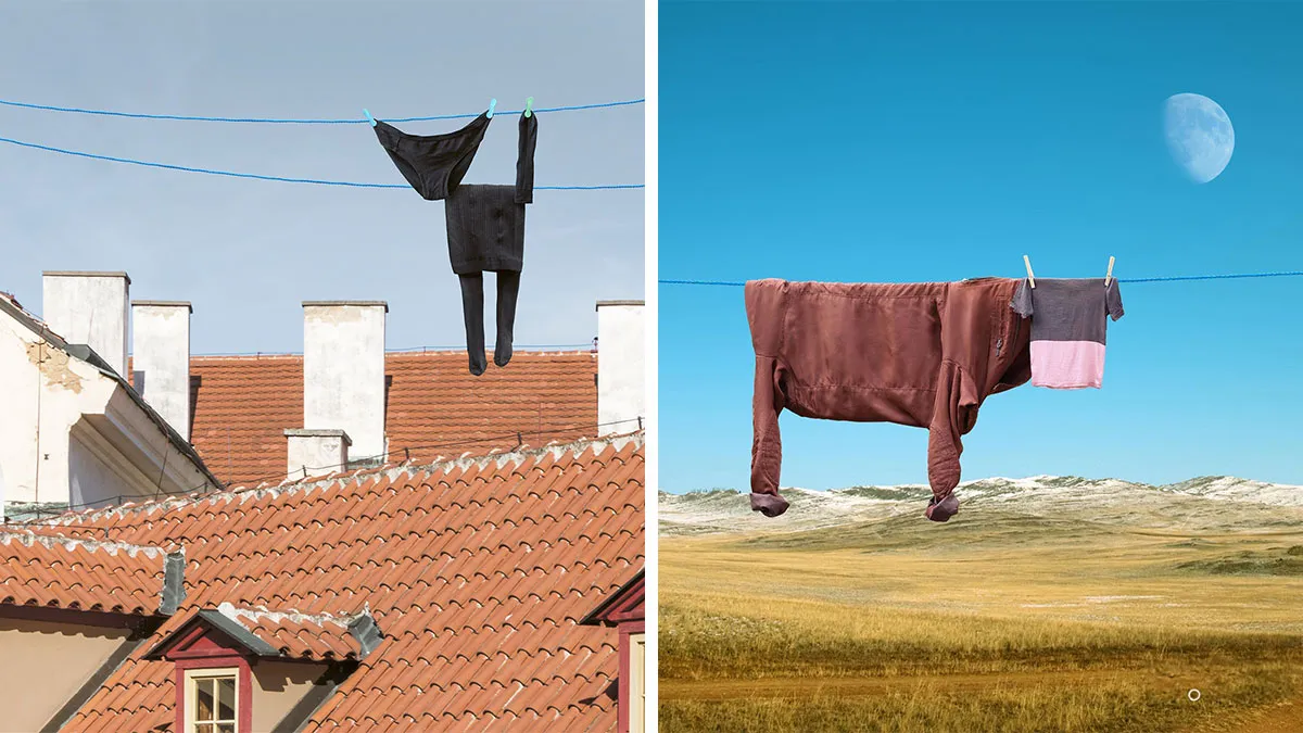 This Artist Created 21 Playful Animals From Laundry And Captured Them In Picturesque Landscapes