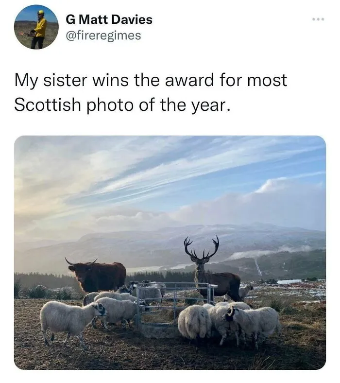 Scots Have The Best Sense Of Humor And These 50 Memes Prove It