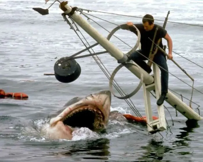 “Makes My Stomach Turn”: 45 Terrifying True Stories That Are Hard To Believe