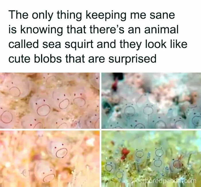 ‘The Darker Side Of Science’: 50 Posts That Would Probably Win A Nobel Prize In Memes (New Pics)