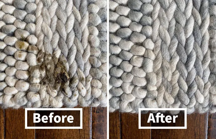 Poop Happens, But The Smell Doesn't Have To. This <a Style="Display:inline;" Href="Https://Www.amazon.com/Dp/B00ckfl93k?ascsubtag=7742895%2c17%2c33%2cd%2c0%2c0%2c0%2c900%3a2%3b974%3a3%3b1125%3a1%3b1338%3a1%3b1352%3a3%2c0%2c0%2c0%2c0&btn_ref=srctok-Fee20659c8eea17b&th=1&linkcode=ll1&tag=bpstingray-20&linkid=1f548f061fe28111be536d32d02f5d12&language=en_us&ref_=as_li_ss_tl" Target="_blank"><span Style="Font: Inherit; Color: #d74b1f;"> Enzyme Pet Odor Eliminator For Home </Span> Is A Lifesaver
