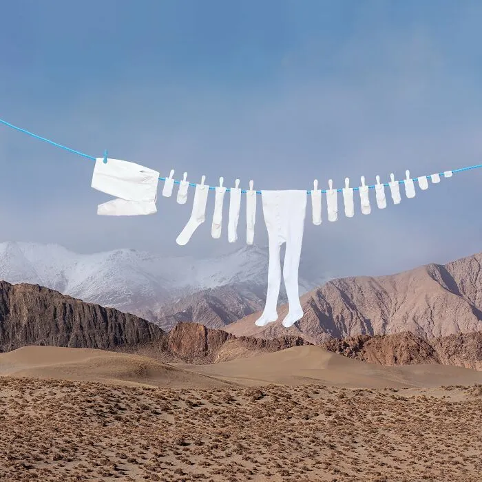 This Artist Created 21 Playful Animals From Laundry And Captured Them In Picturesque Landscapes