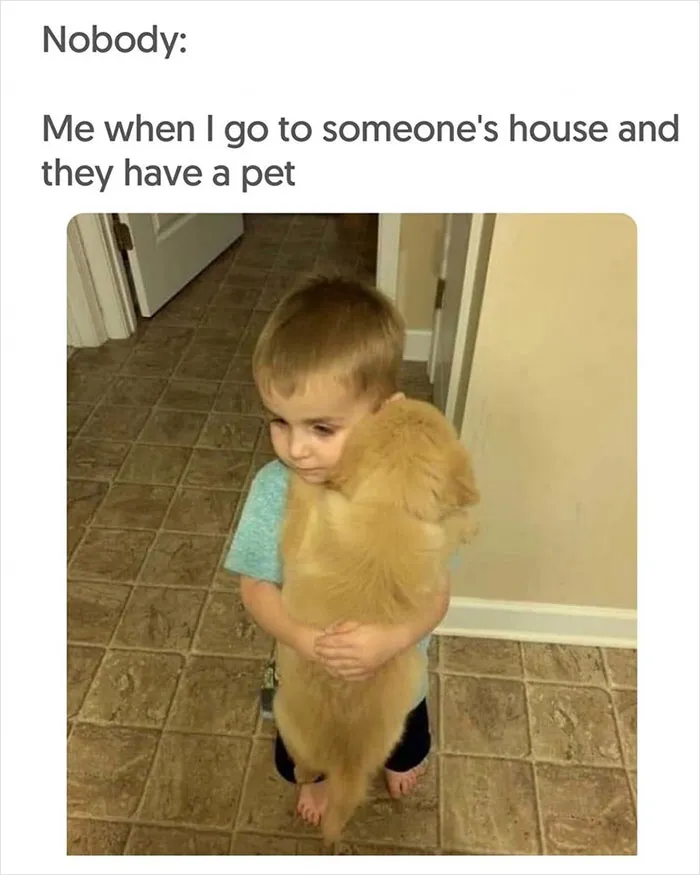 40 Uplifting Memes With And About Dogs That May Just Make Your Day Better