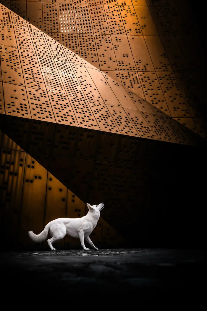 1st Place, Portrait: Ready For Take Off! By Rhea Nellen