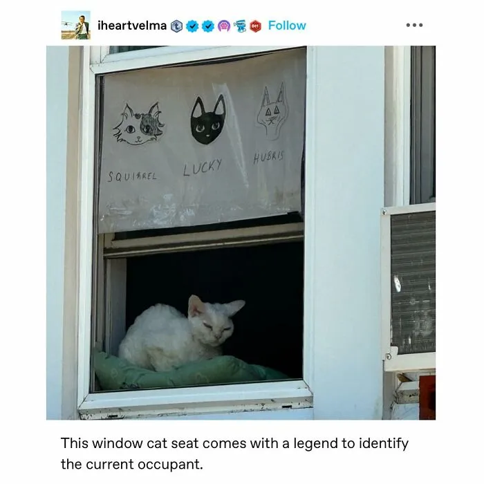50 Wholesome Memes And Posts That Remind Us The World Isn’t All Bad