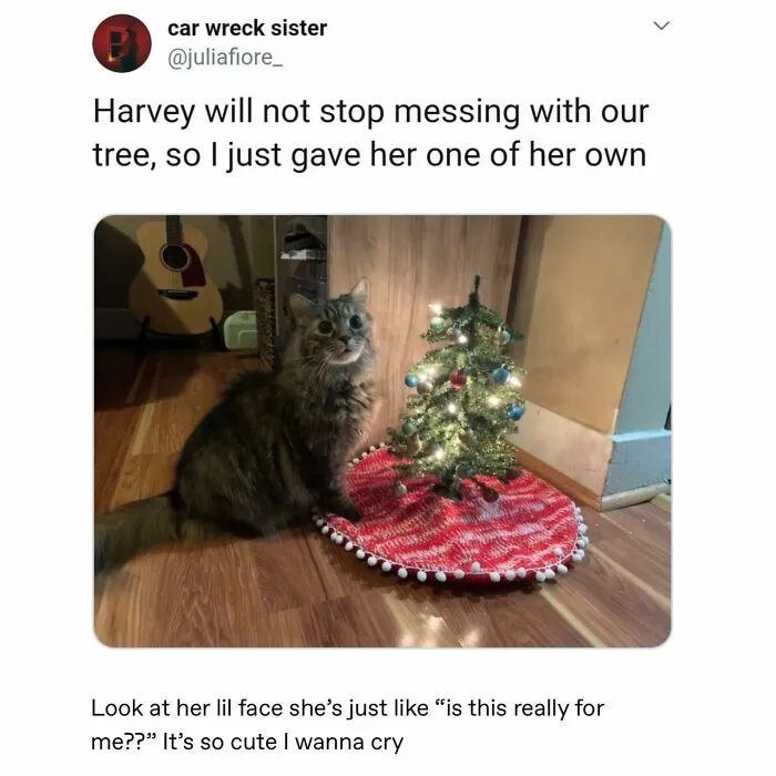 50 Wholesome Memes And Posts That Remind Us The World Isn’t All Bad