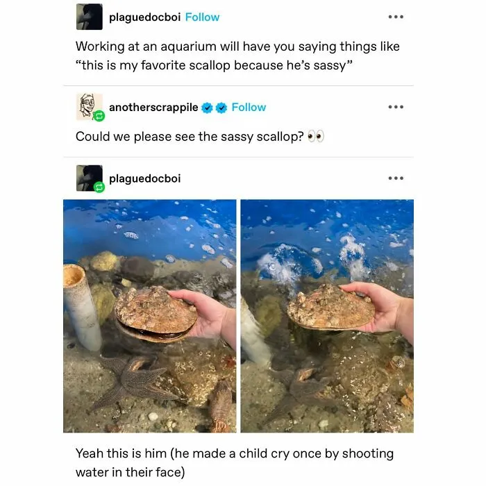 50 Wholesome Memes And Posts That Remind Us The World Isn’t All Bad