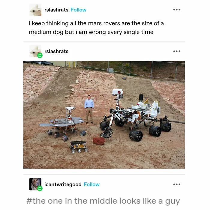 50 Wholesome Memes And Posts That Remind Us The World Isn’t All Bad