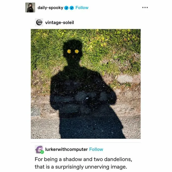 50 Wholesome Memes And Posts That Remind Us The World Isn’t All Bad