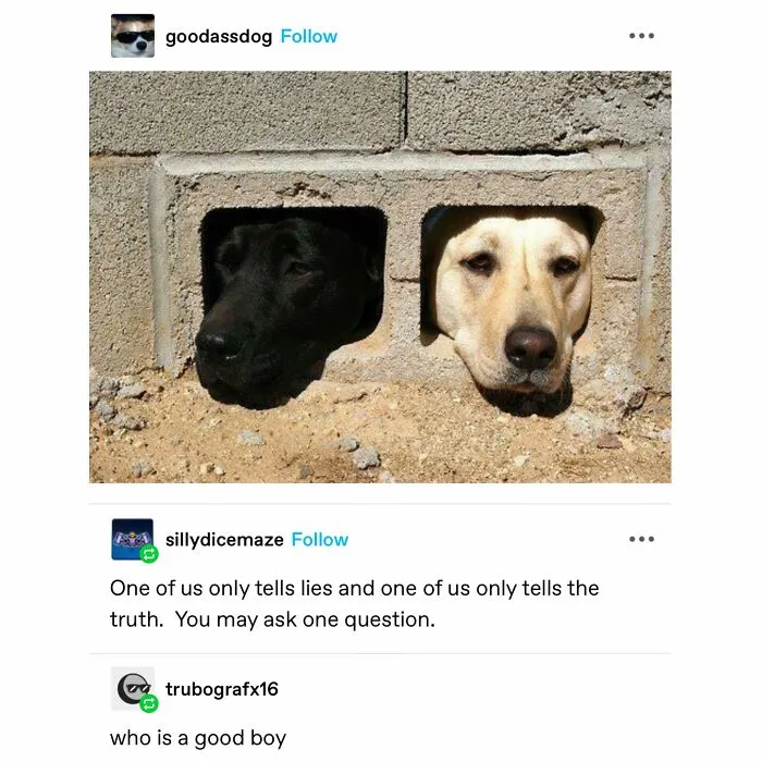 50 Wholesome Memes And Posts That Remind Us The World Isn’t All Bad