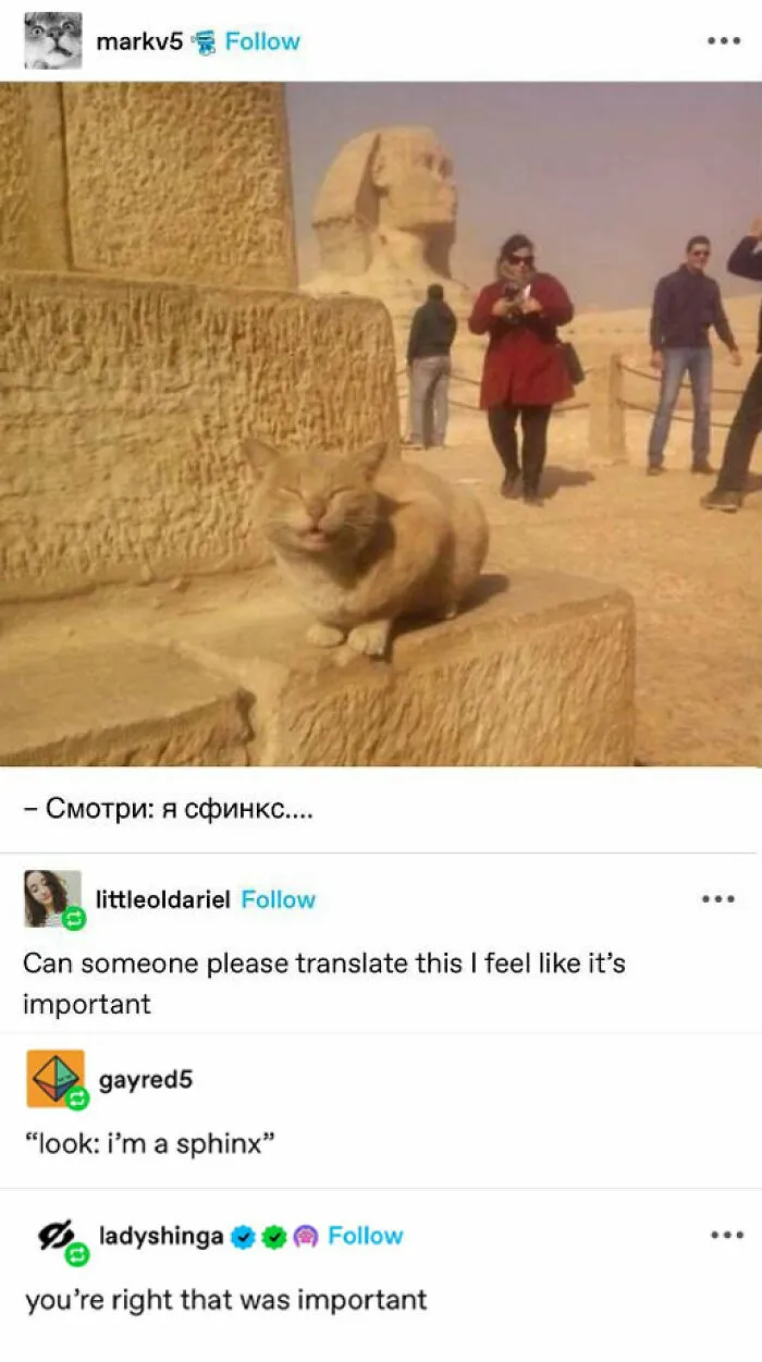 50 Wholesome Memes And Posts That Remind Us The World Isn’t All Bad