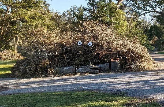 I Decorated My Hurricane Ian Debris For Halloween