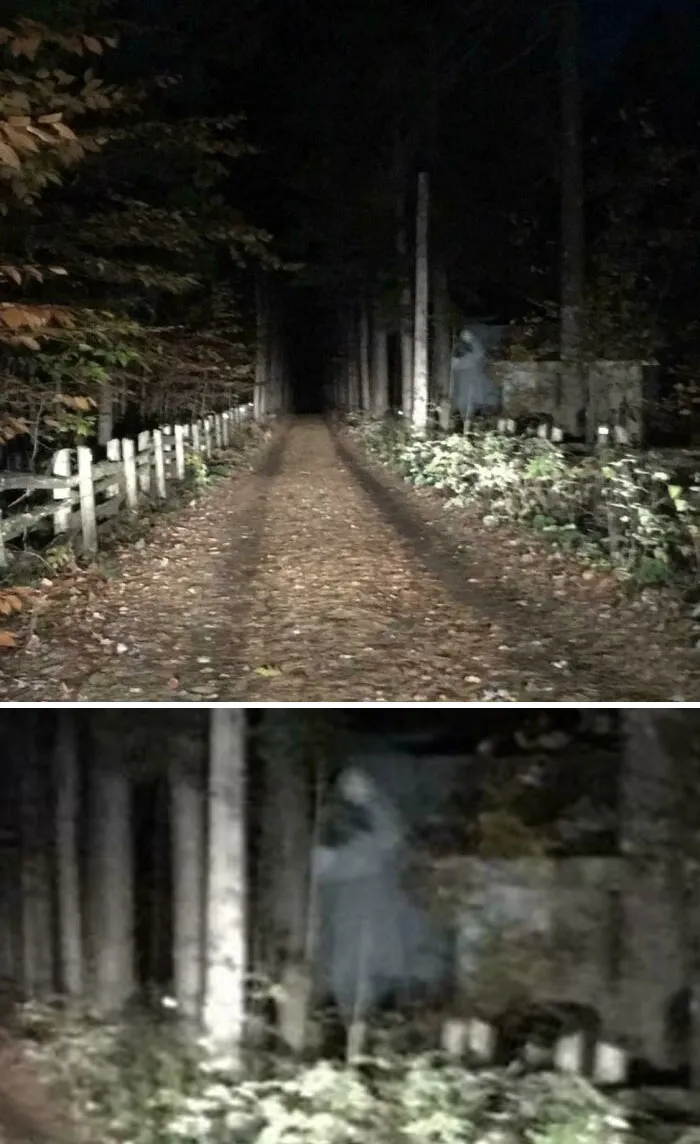 Alquilé una cabaña hace unos años para una fiesta de cumpleaños. Acabo de ver esta foto y pensé que era extraño. ¿Alguien más lo vio? Era de noche y estaba oscuro, así que tenía las luces altas encendidas.