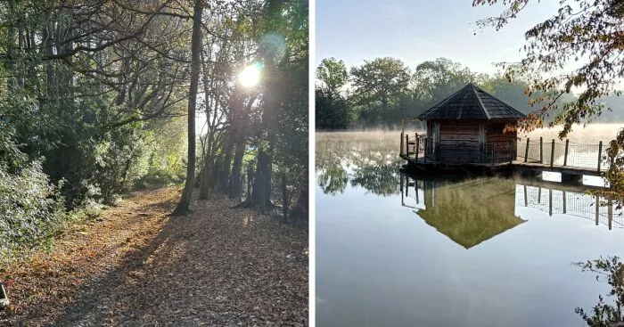 Hey Pandas, Share Your Coziest Fall Pics (Closed)