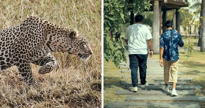 Leopard Attacks People Who Teased And Lured It Out Of Woods, Caught On Video: “Serves Them Right”