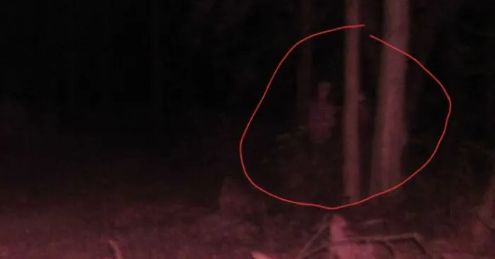 Hey Pandas, Share The Ghosts You've Captured On Camera (Closed)