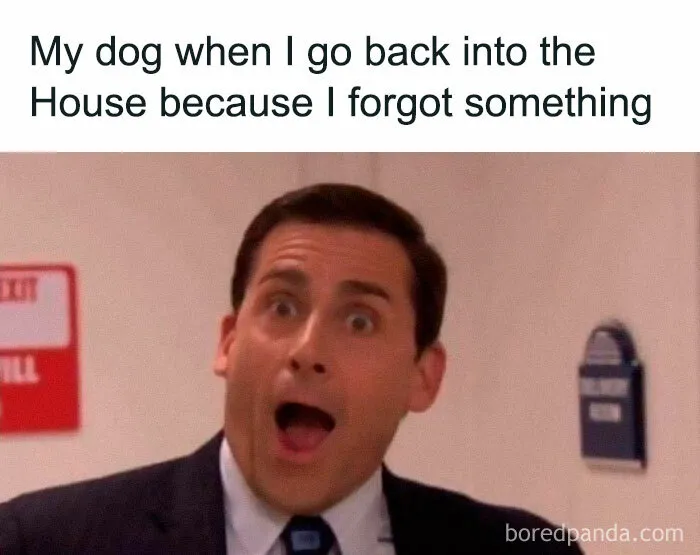 30 Hilarious Memes All About “The Office” That True Fans Might Appreciate