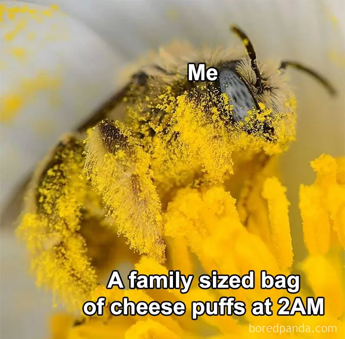 50 Funny Memes For When You’re Too Tired To Do Anything Else