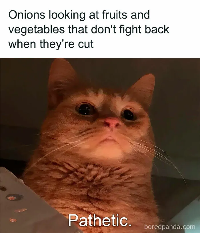 50 Funny Memes For When You’re Too Tired To Do Anything Else