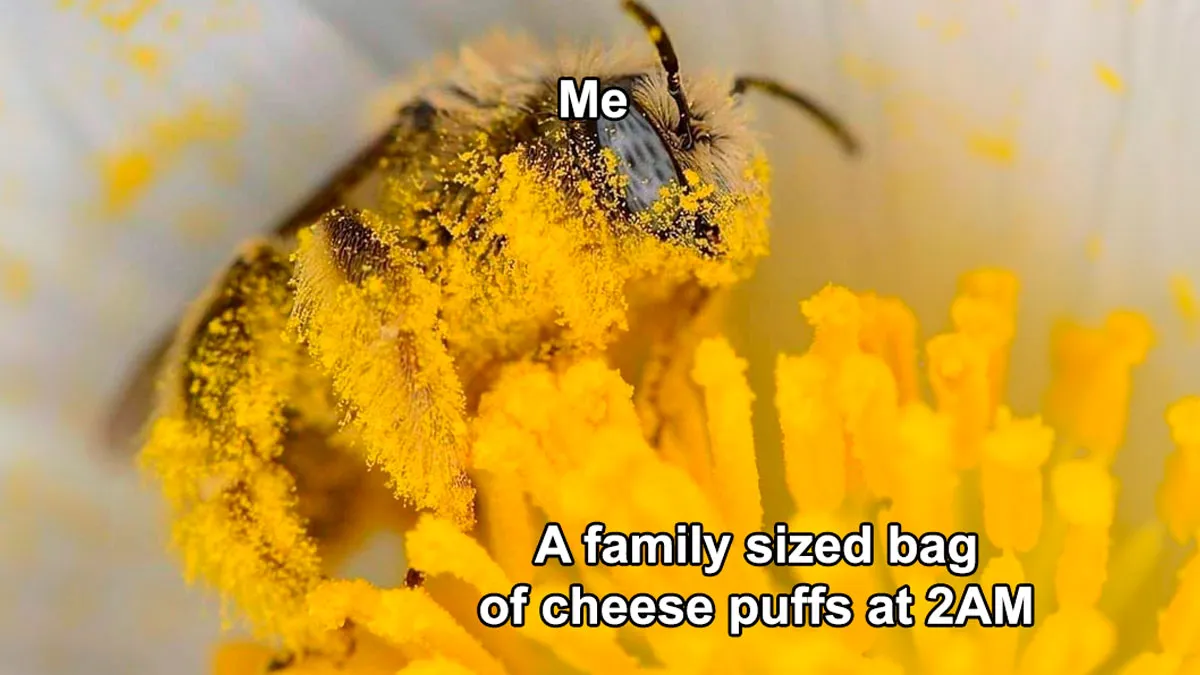 50 Funny Memes For When You’re Too Tired To Do Anything Else