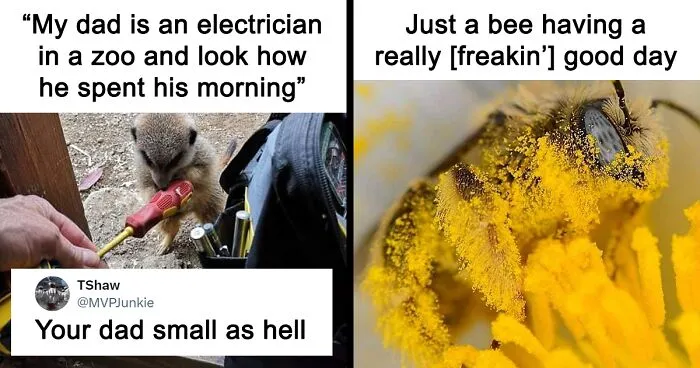 50 Funny And Awkward Animal Posts That Might Make Your Day Much Better