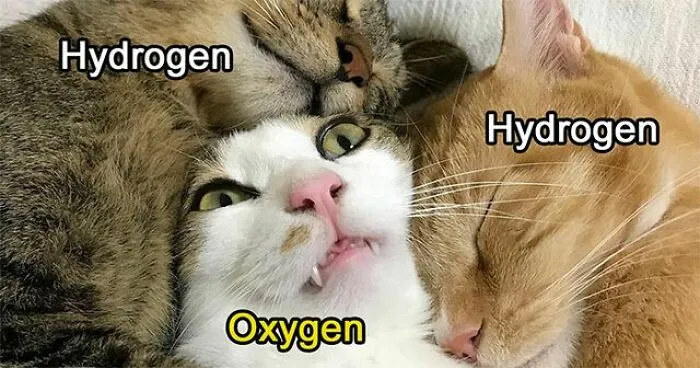 50 Memes And Jokes That Combine Science And Humor Perfectly